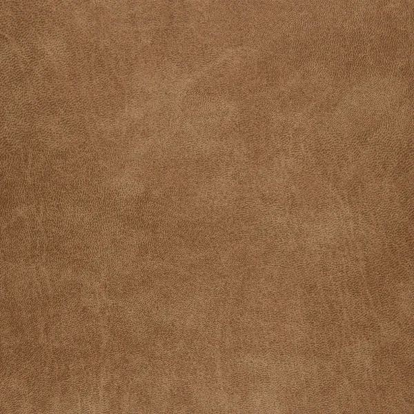 Eco Leder Tex Bull 2893