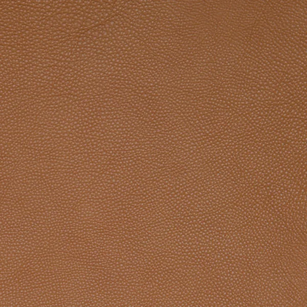 Leder Anilux 476